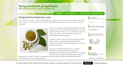 Desktop Screenshot of gyogynovenyhatarozo.com